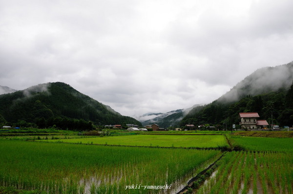 萩・川上03.jpg