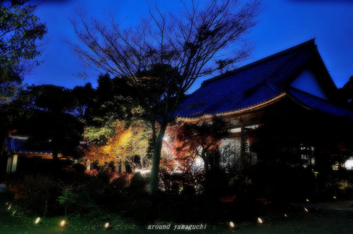 蓮光寺000.jpg