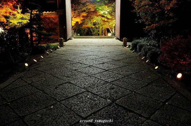 蓮光寺01.jpg