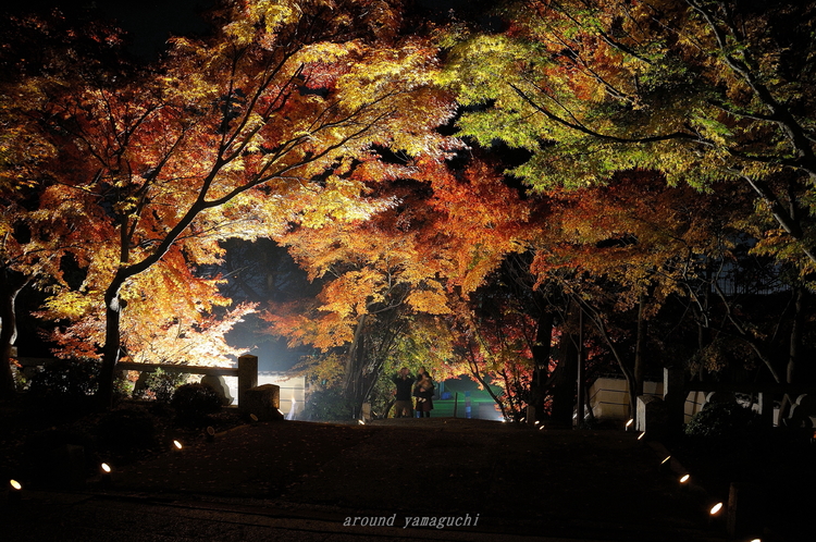 蓮光寺04.jpg