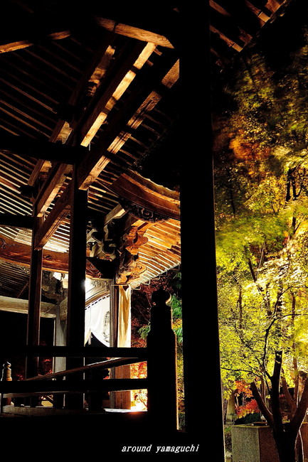 蓮光寺07.jpg