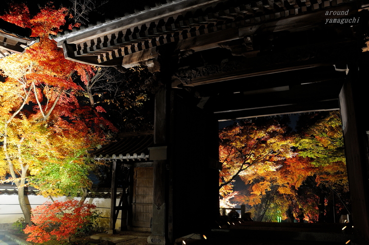 蓮光寺08.jpg