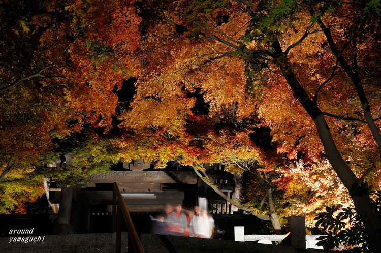 蓮光寺10.jpg