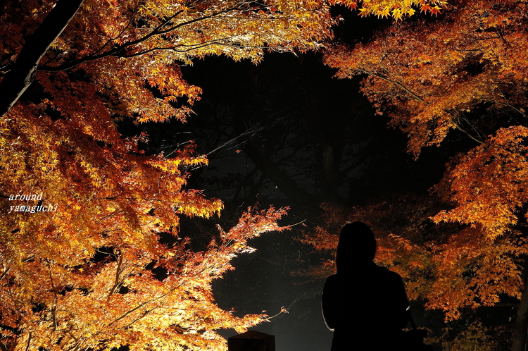蓮光寺11.jpg