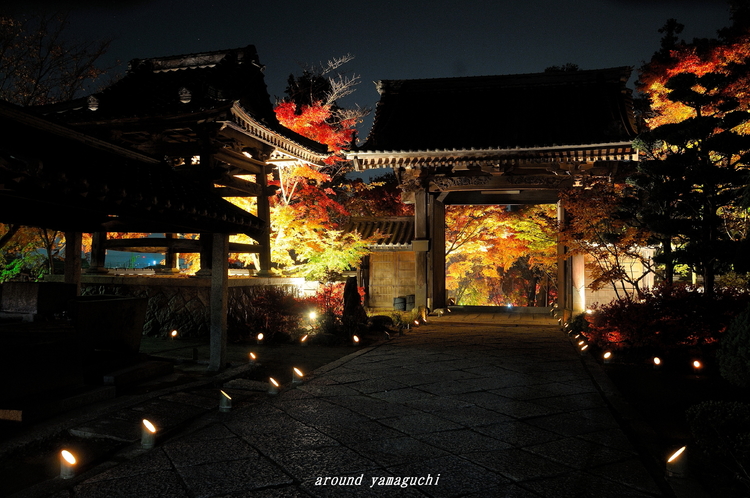 蓮光寺12.jpg