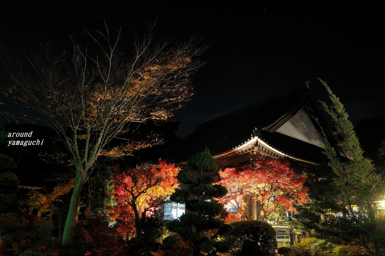 蓮光寺14.jpg