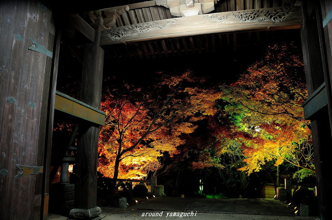 蓮光寺16.jpg
