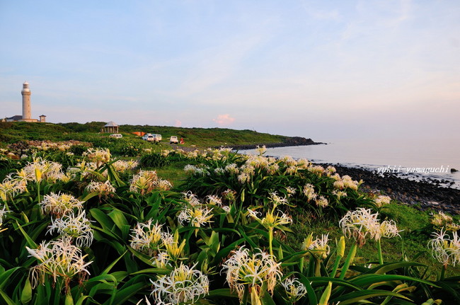 角島00.jpg