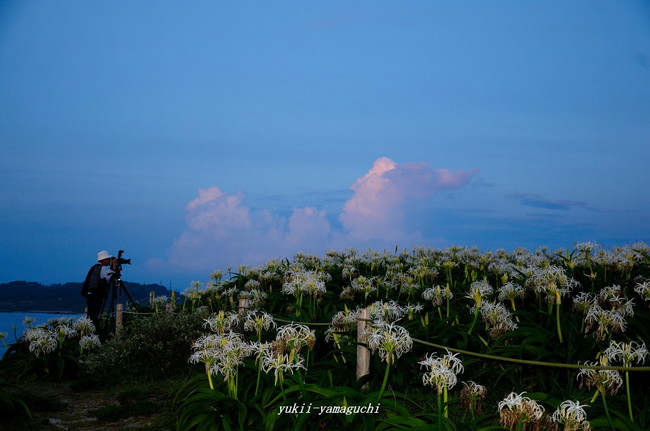 角島09.jpg