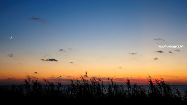 角島10.jpg