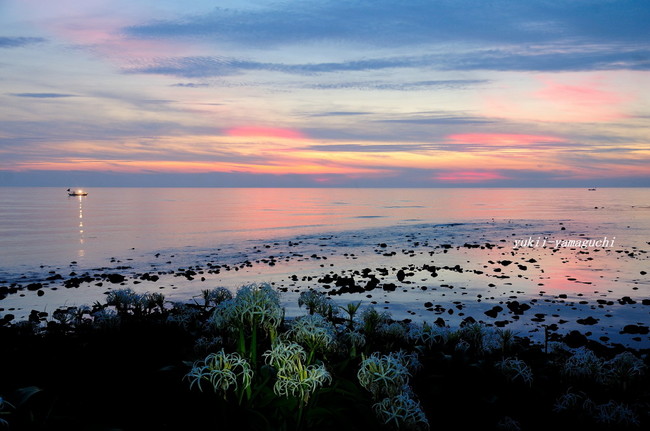 角島13.jpg