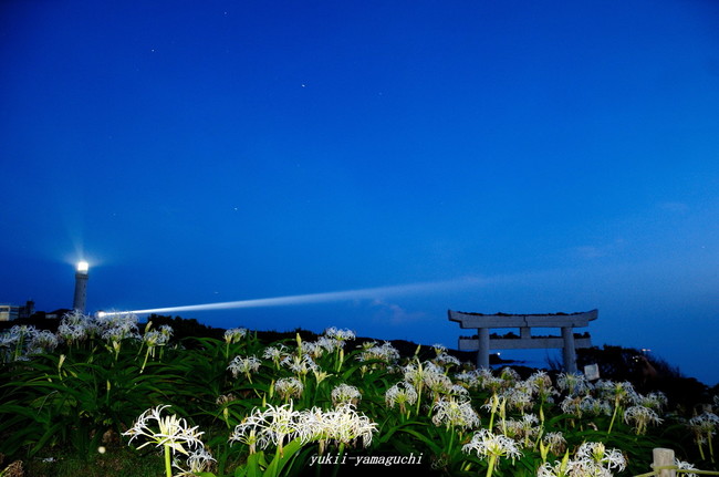 角島19.jpg