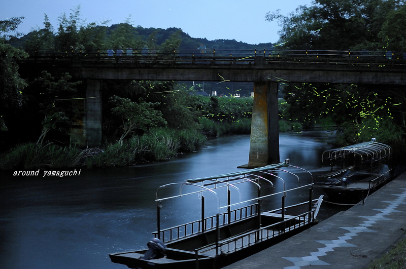 豊田町ほたる舟11.jpg