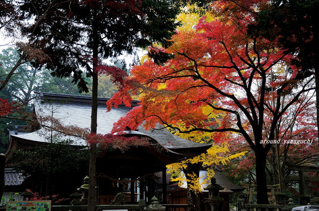赤田神社01.jpg