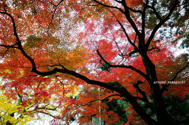 赤田神社03.jpg