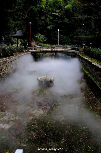 野田神社01.jpg
