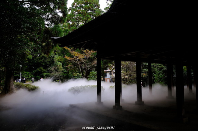 野田神社02.jpg