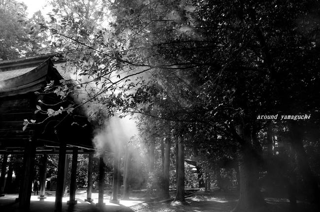 野田神社08.jpg