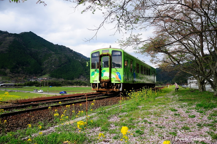 錦川清流線07.jpg