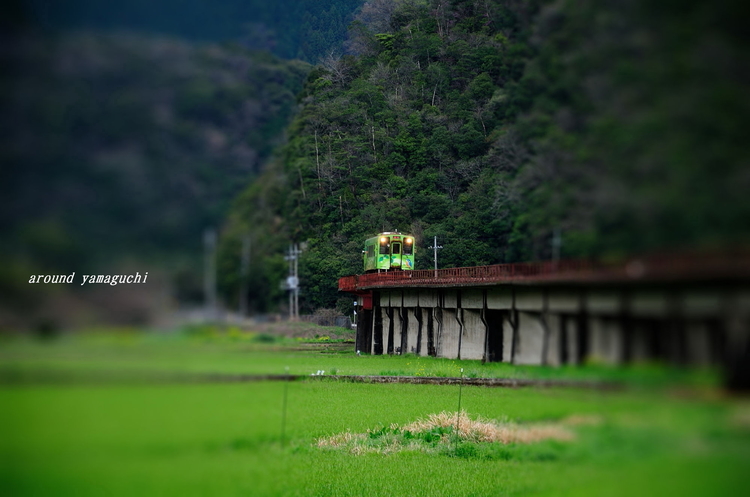 錦川清流線08.jpg
