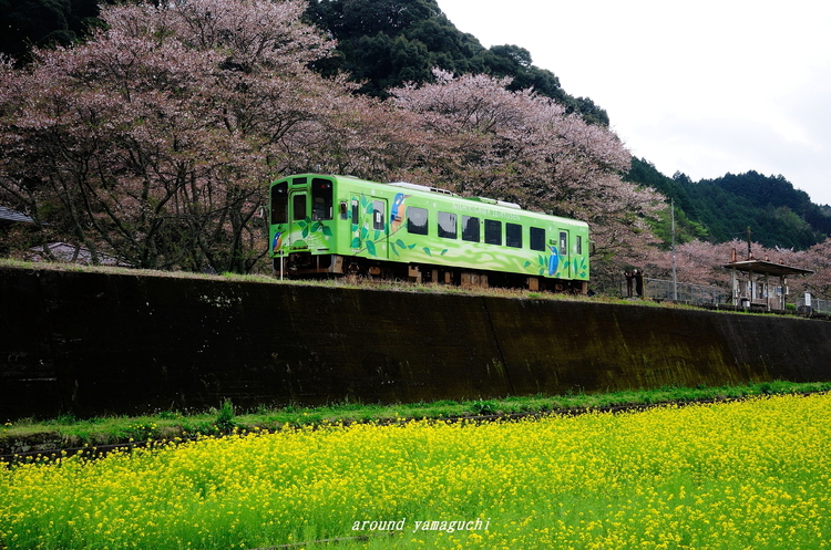錦川清流線11.jpg