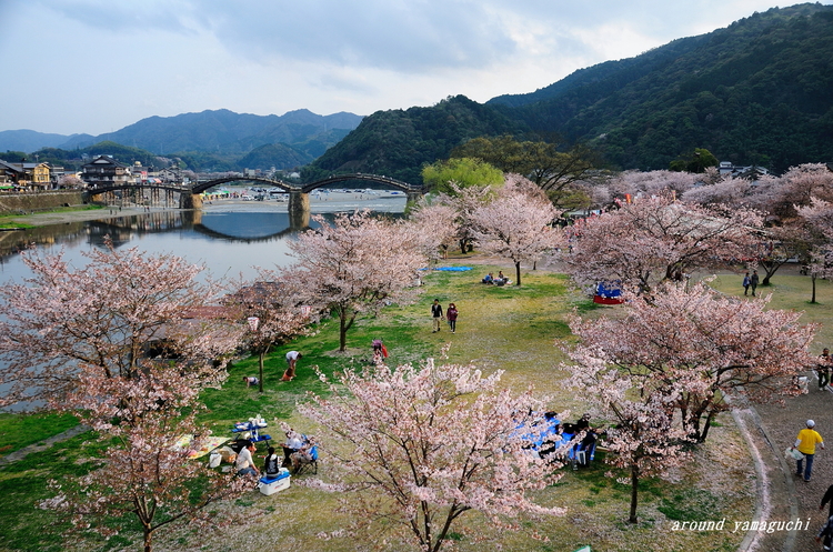 錦帯橋01.jpg