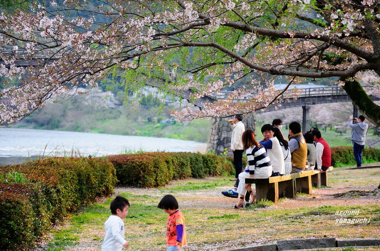 錦帯橋02.jpg