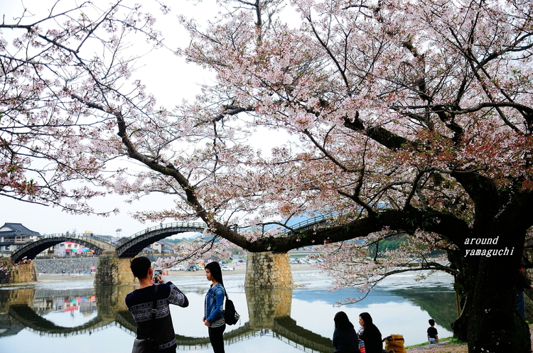 錦帯橋04.jpg