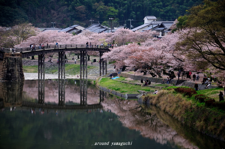 錦帯橋05.jpg