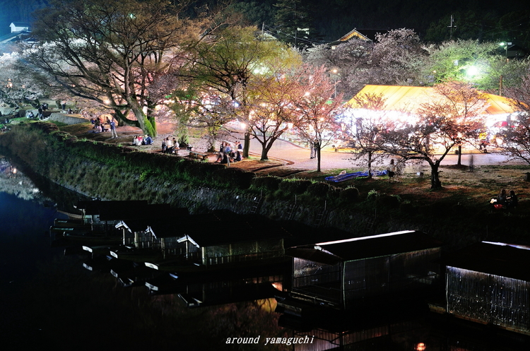 錦帯橋16.jpg