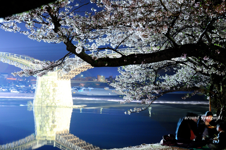 錦帯橋25.jpg