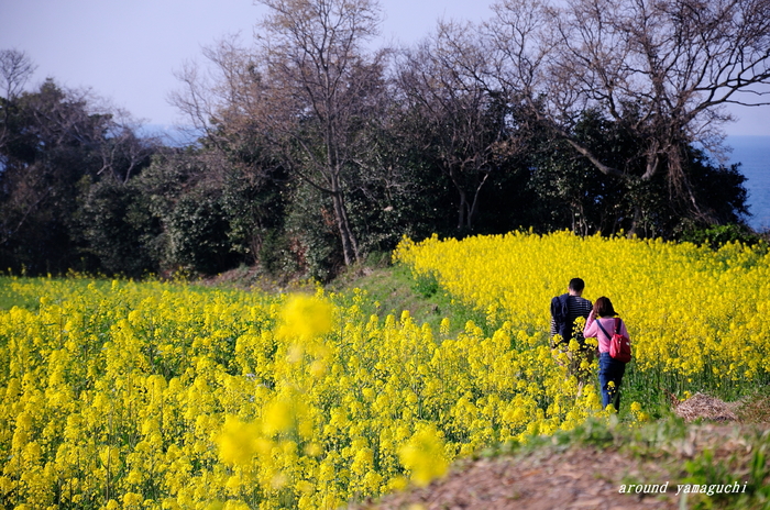 長崎鼻05.jpg