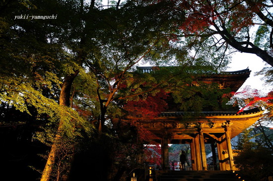 長府功山寺ライトアップ01.jpg