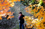 長府功山寺ライトアップ 261.JPG