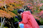 長府功山寺ライトアップ 263.JPG