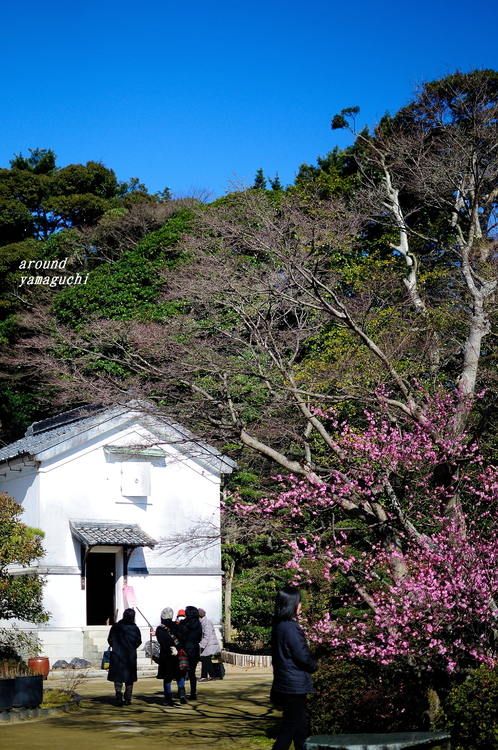 長府庭園07.jpg