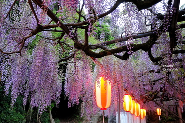 長正司公園08.jpg