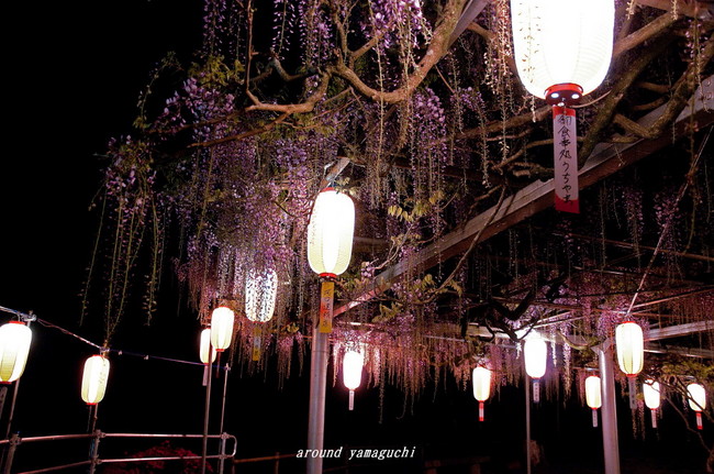 長正司公園10.jpg