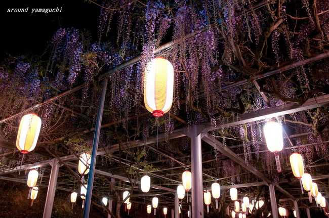 長正司公園11.jpg
