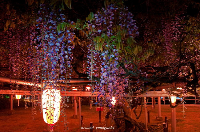 長正司公園13.jpg