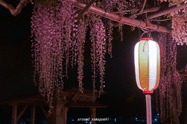 長正司公園15.jpg