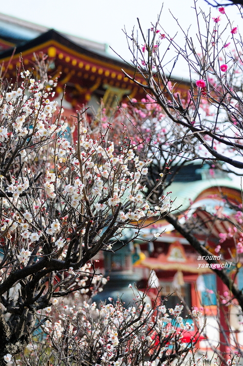 防府天満宮01.jpg