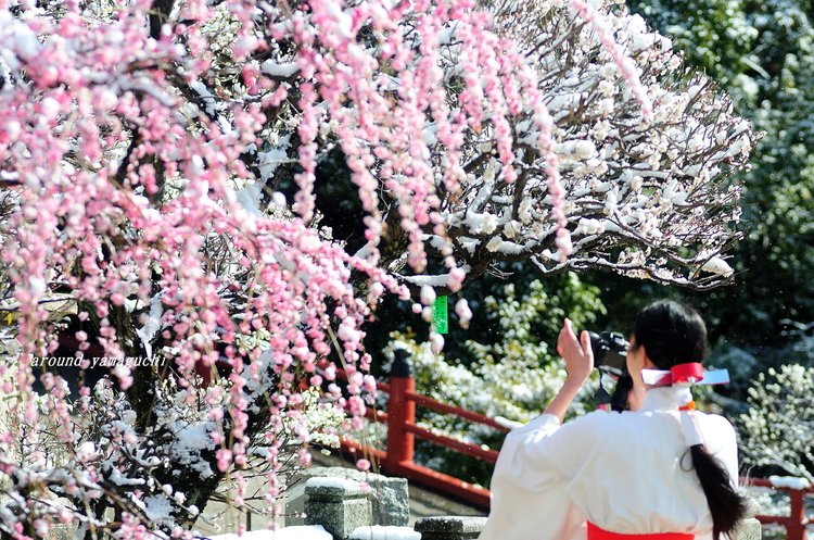 防府天満宮01.jpg