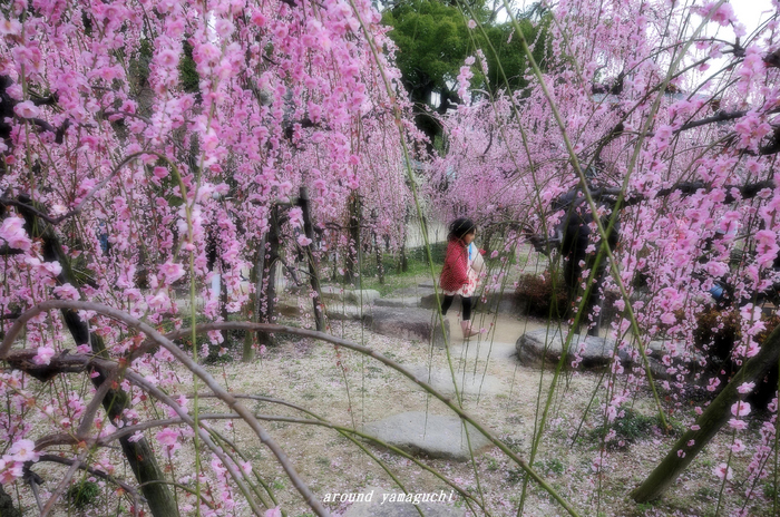 防府天満宮04.jpg