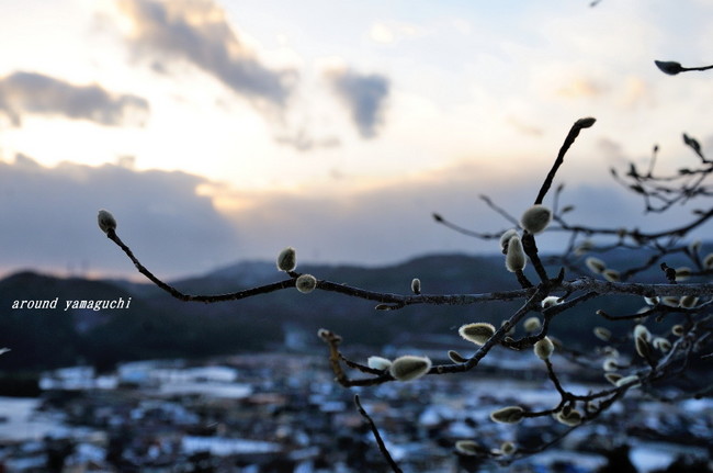 阿東町11.jpg