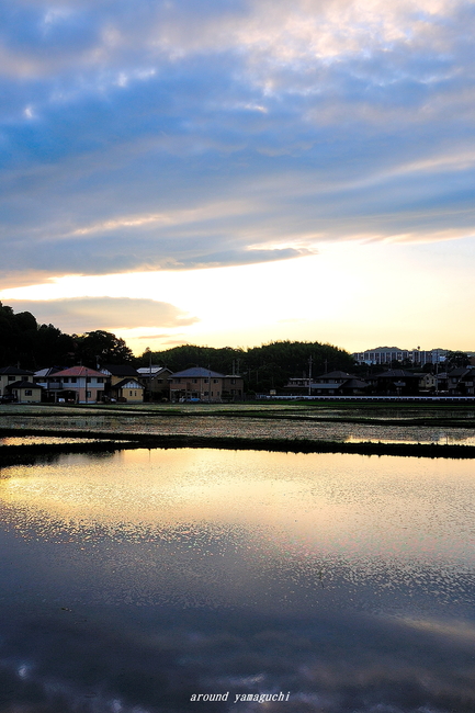 雨上り07.jpg