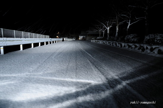 雪の朝05.jpg