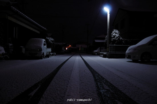 雪の朝06.jpg