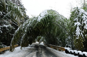 雪景色山口 004.JPG