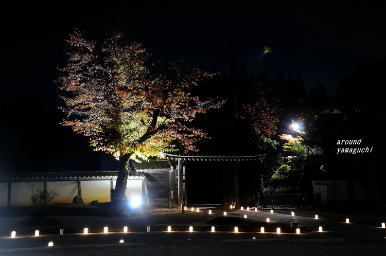 雪舟庭園08.jpg